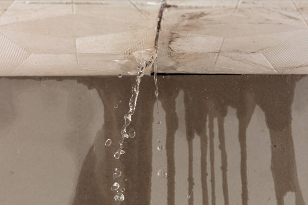 Professional Structural Drying technician working in Oak Park, MI